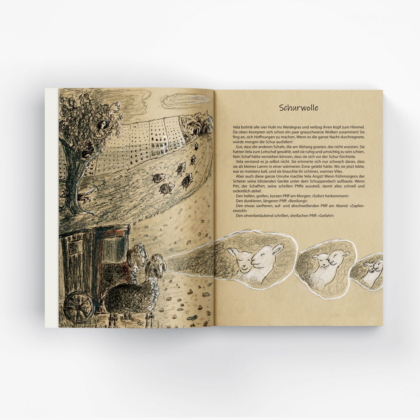 Allitera Verlag