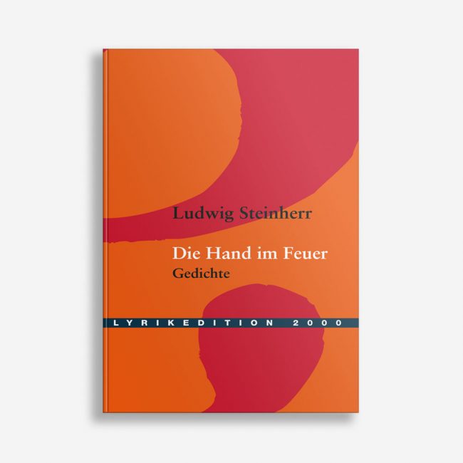 Buchcover Ludwig Steinherr Die Hand im Feuer