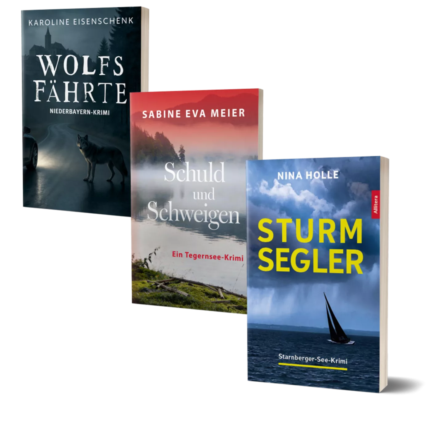 Buchcover Holle, Sturmsegler; Meier, Schuld und Schweigen; Eisenschenk, Wolfsfährte